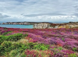 Nad ochroną zagrożonych elementów różnorodności biologicznej na kontynencie europejskim czuwa Europejska Sieć Ekologiczna Natura 2000. Jest spójnym instrumentem prawnym wdrażanym od 1992 roku na terytorium wszystkich państw członkowskich Unii Europejskiej. Głównym celem utworzenia sieci Natura 2000, oprócz zachowania zagrożonych wyginięciem gatunków roślin i zwierząt występujących w Europie jest również ochrona siedlisk przyrodniczych, charakterystycznych dla 9 regionów biogeograficznych. 